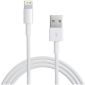 Lightning USB kabel voor Apple - 1 Meter