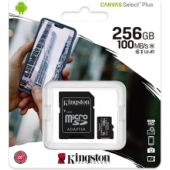 Kingston - Klasse 10 MicroSD - 256 GB